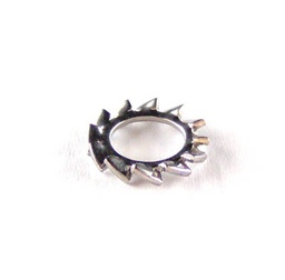 [PA014] M6 Serrated lock washer (stainless steel)